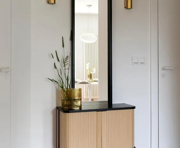 Lumos By Pedro * 波兰尼卡-兹德鲁伊